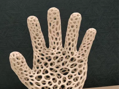 Hollow Hand Model