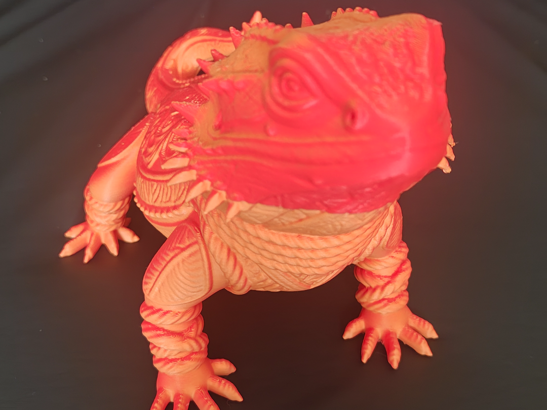 BEARDED DRAGON DECROTAIVE 
