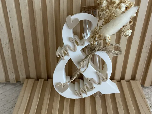 https://makerworld.bblmw.com/makerworld/model/US5d6124a04a8be0/design/019bb854ca501535.jpeg