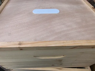 Crown board hole cover
