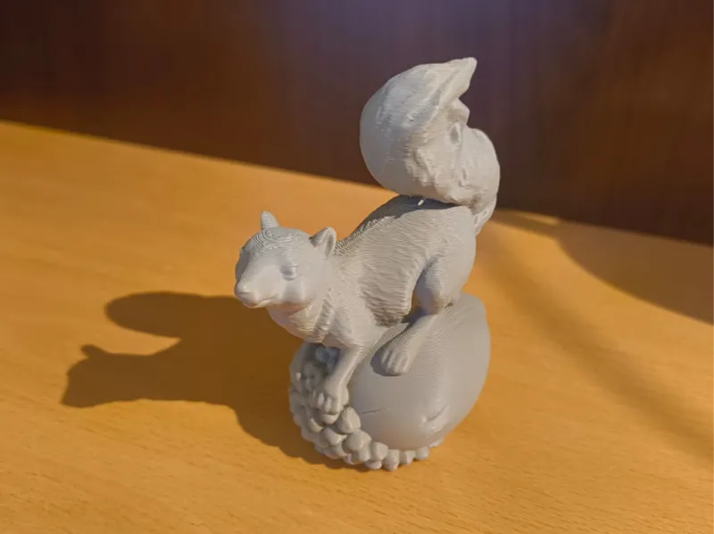 Eichhörnchen 