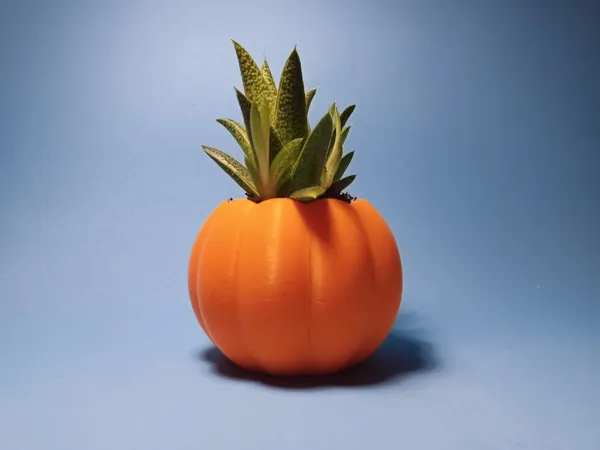 https://makerworld.bblmw.com/makerworld/model/US5d6ed0694ecd5b/design/2024-07-08_5f1c4cd817d67.jpeg