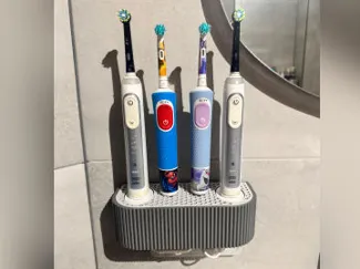 Oral B stand for busch & Jaeger 2 way wall socket