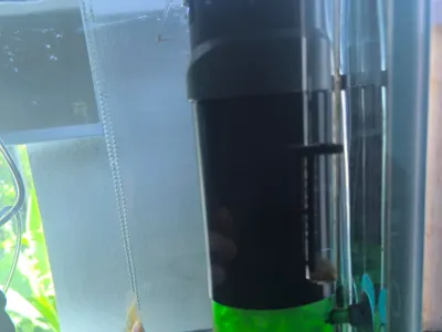 Qanvee Media Cylinder  Extension 