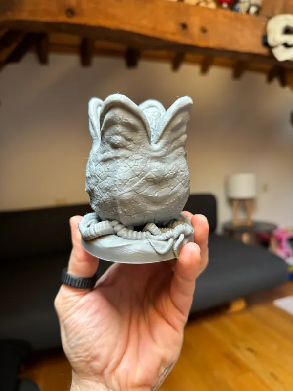 https://makerworld.bblmw.com/makerworld/model/US5d8865f4640f85/design/2024-03-21_e39f0810e9099.jpeg