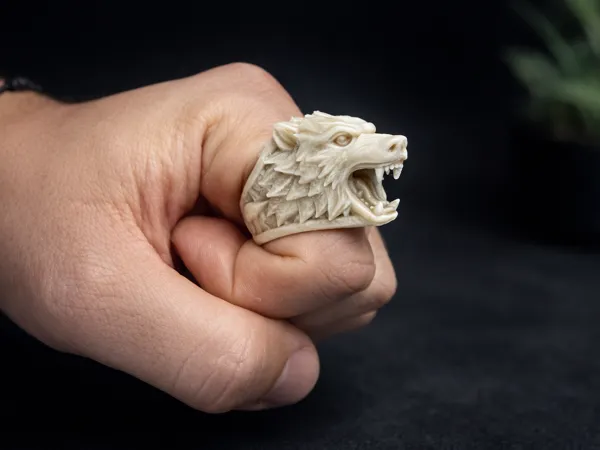 https://makerworld.bblmw.com/makerworld/model/US5d8dcd69bec986/design/2025-12-21_0f332598a47d9.png