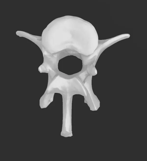 https://makerworld.bblmw.com/makerworld/model/US5d8dda81b6b106/design/2024-01-28_362e0184f2e48.png