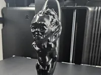 0.12mm layer, 2 walls, 15% infill