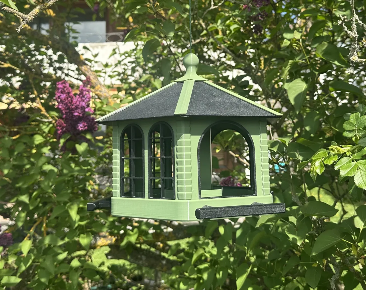 Bird-Station view 3
