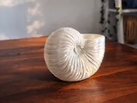 0.16mm layer, 2 walls, 8% infill