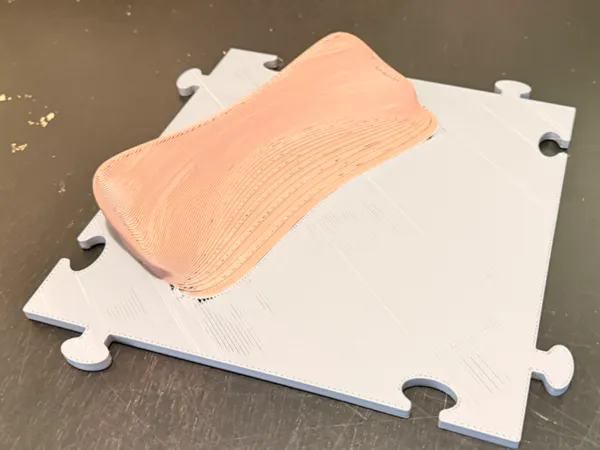 https://makerworld.bblmw.com/makerworld/model/US5d8fc8c31b8cfd/design/e690c5ed5189b923.jpg