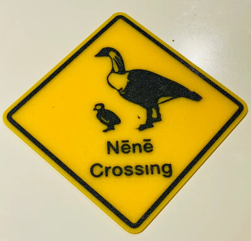 Nene Crossing Coaster