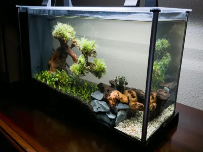 Fluval Spec V Aquarium Cave