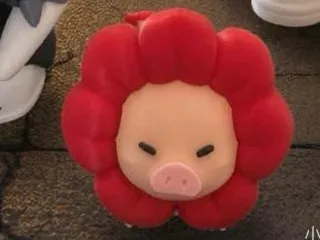 Piggy Red Flower no AMS