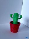 Happy cactus