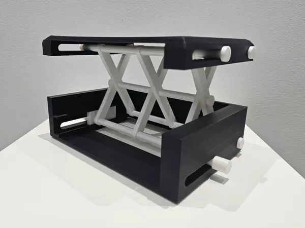 https://makerworld.bblmw.com/makerworld/model/US5db58514f48c8/design/2025-03-06_f5270a10aeaf3.jpg