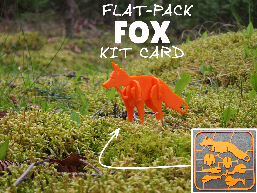 Fox Kit Card