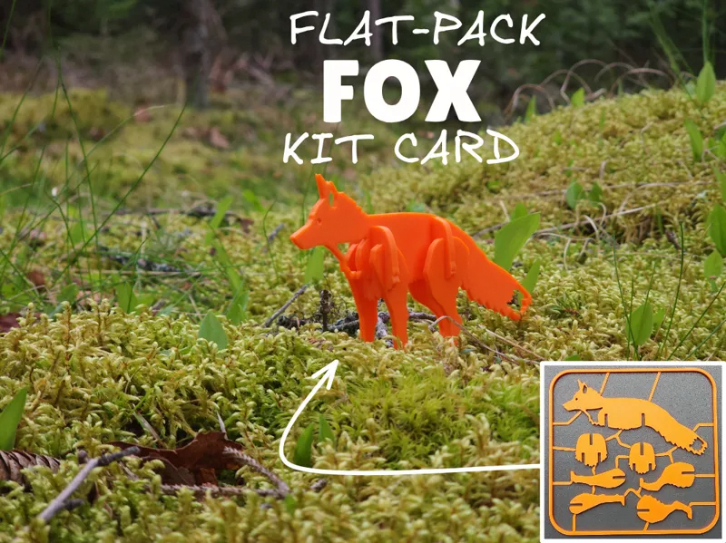 Fox Kit Card