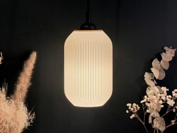 https://makerworld.bblmw.com/makerworld/model/US5dba0c46a5cad6/design/2025-01-21_45483a68e9fbf.jpeg