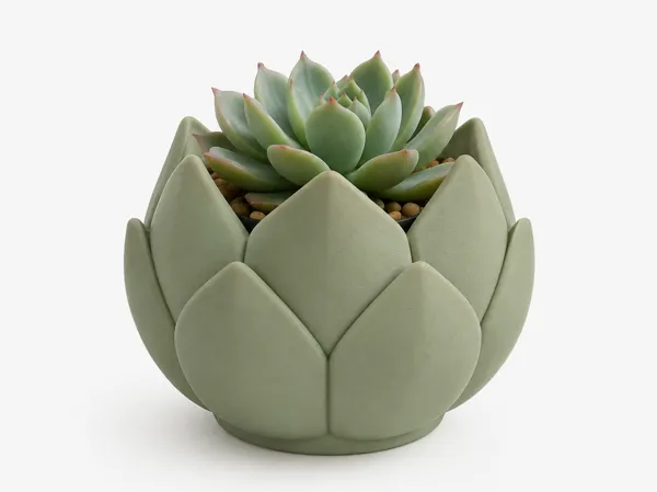 https://makerworld.bblmw.com/makerworld/model/US5dbd1e77db2c6b/design/67b25c19a6808053.png