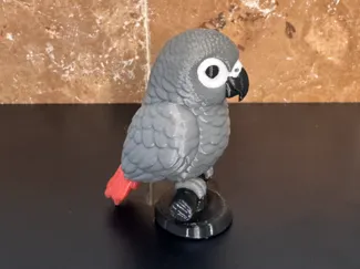 African Grey Parrot (Animated)