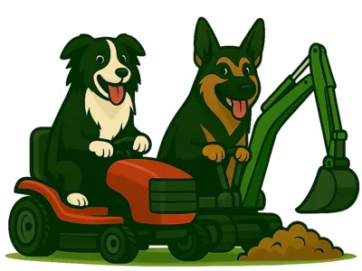 dogs 