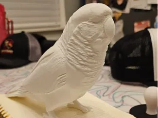 QUAKER PARROT