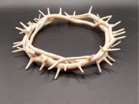 Couronne d'épines — photo 2