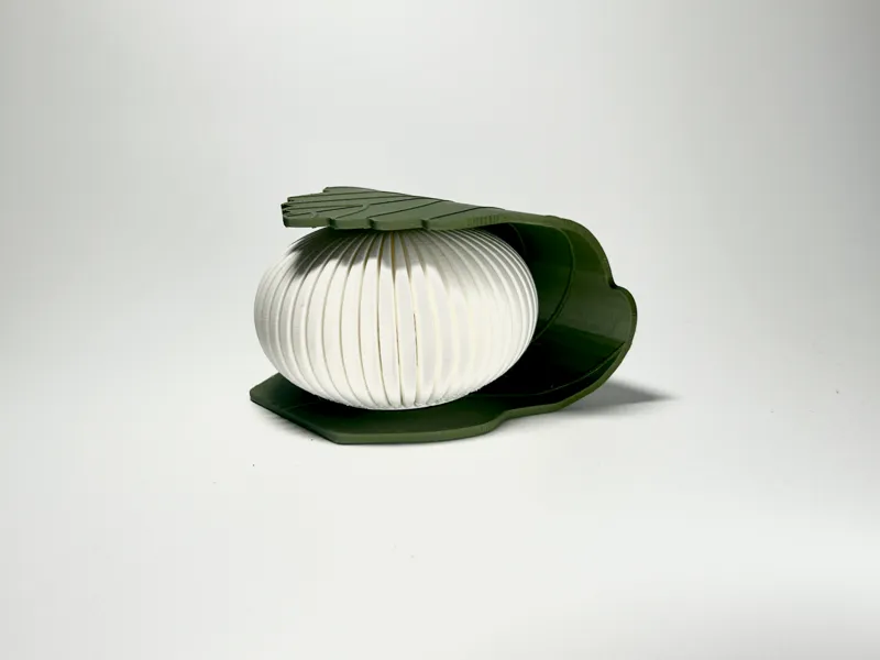 Kashiwa-mochi_light