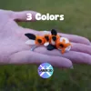 Mini Koi (3 Colors)
