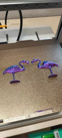 Flamant rose à patte unique — photo 2