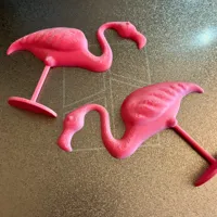 Flamant rose à patte unique — photo 5