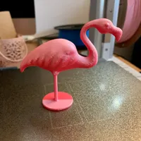 Flamant rose à patte unique — photo 6
