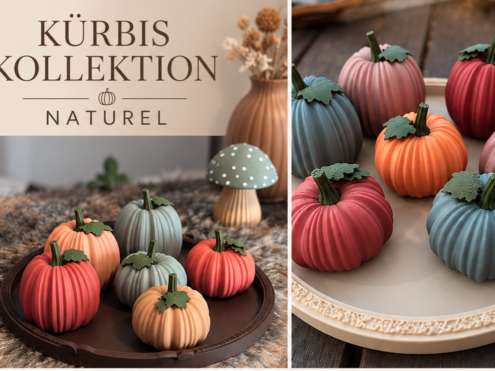 Kürbis Naturel - 1