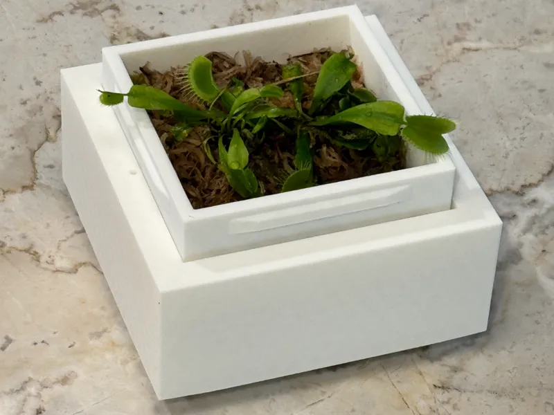 Carnivorous plant pot