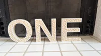 ONE: 0.2mm layer, 2 walls, 10% infill