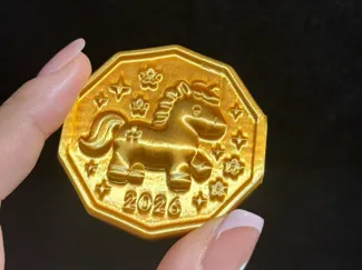 2026金币小马币-仅2g 可自己diy字体logo