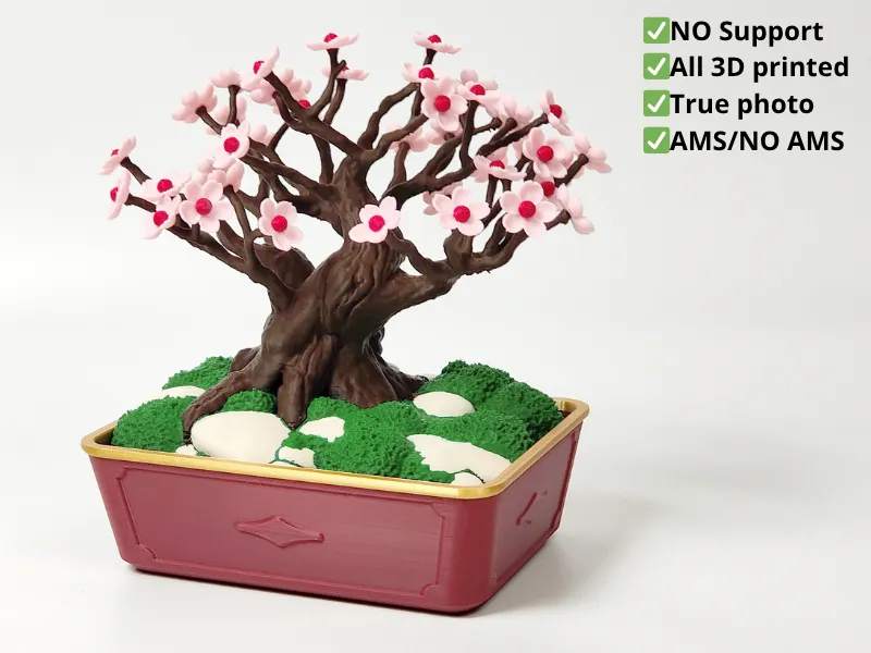 Cherry Blossom Bonsai