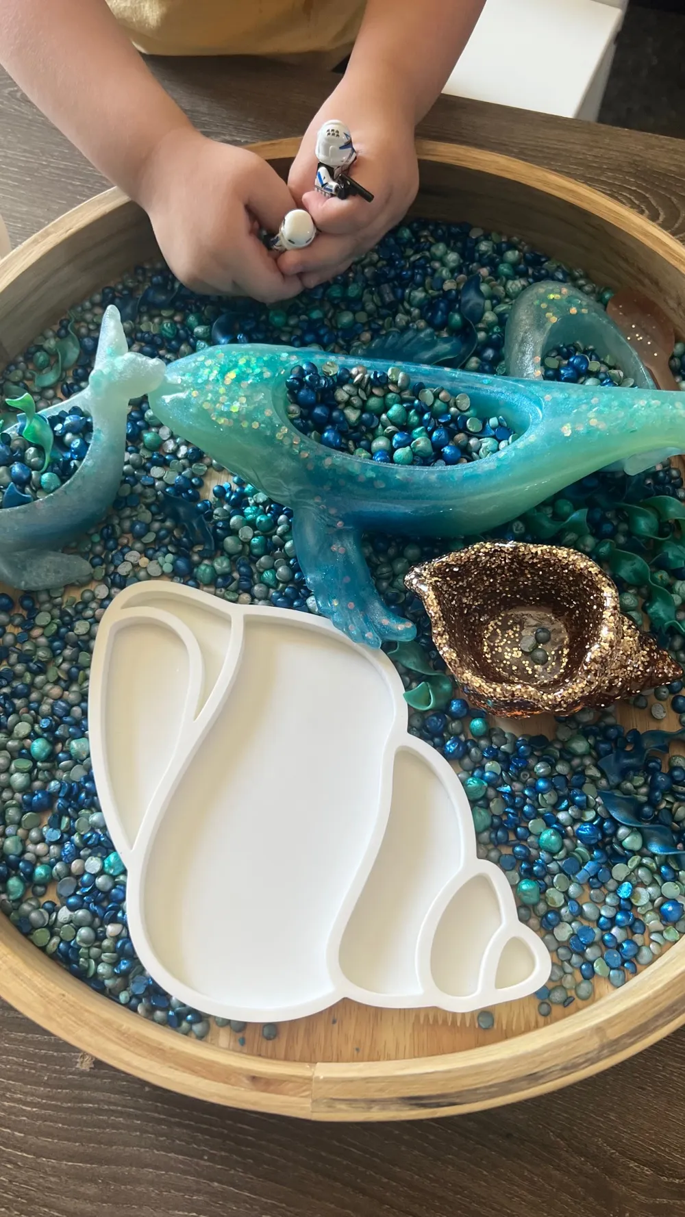 Seashell Play Seashell Sensory play tray by outofthesensorybin MakerWorld: Download ...