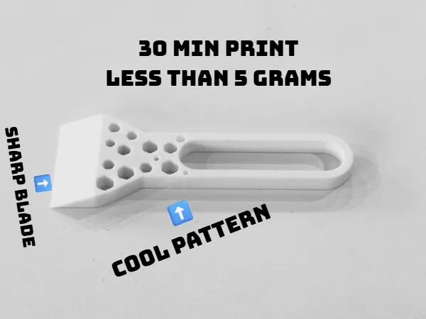 bed scraper