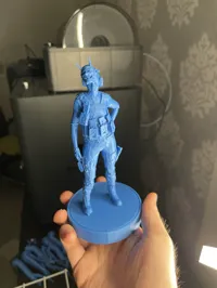 0.08mm layer, 2 walls, 10% infill
