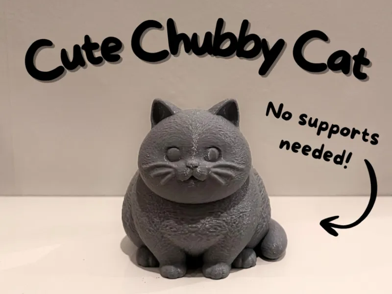Cute Chubby Cat