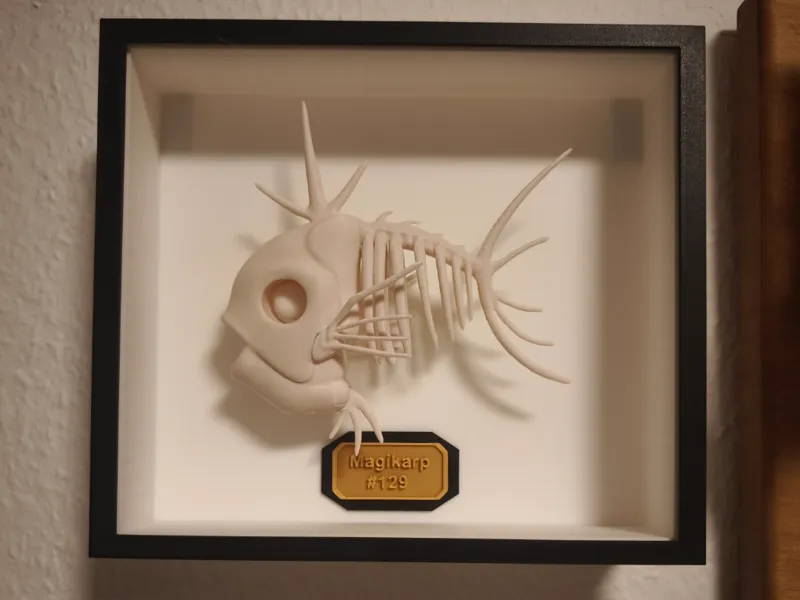 BOX for Magikarp skeleton