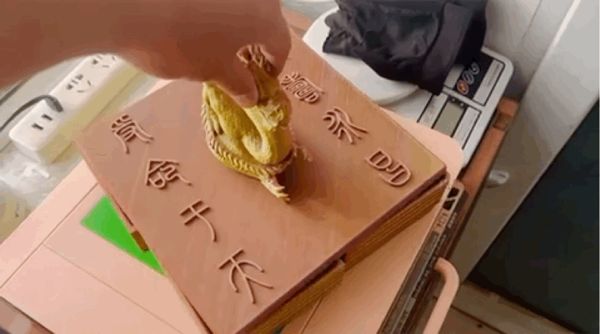 https://makerworld.bblmw.com/makerworld/model/US5df341c369c328/design/2024-03-02_9516c1594b4e.gif