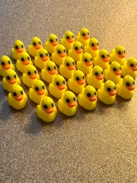 100 DUCKS