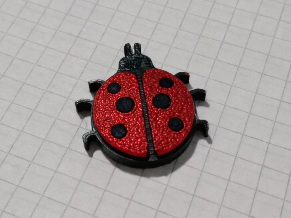 Magnetic LADYBUG
