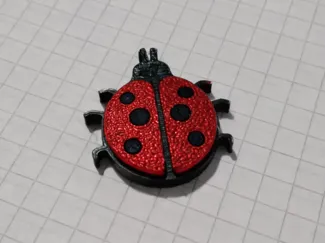 Magnetic LADYBUG
