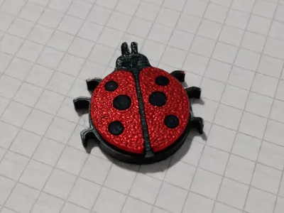 Magnetic LADYBUG