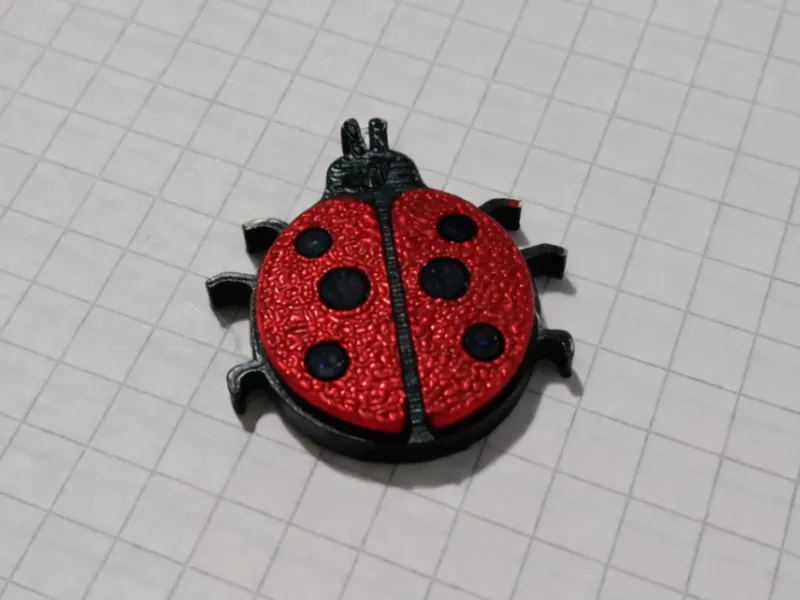 Magnetic LADYBUG
