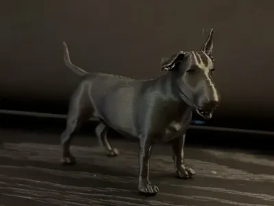 Bull Terrier standard body
